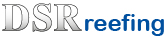 DSRreefing.com Logo